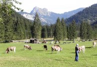 vilsalpsee_04.jpg vilsalpsee_04.jpg