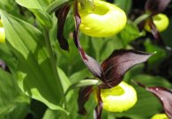 vilsalpsee_15.jpg vilsalpsee_15.jpg